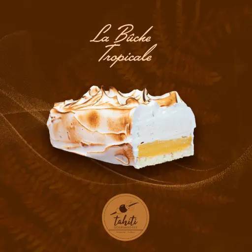 Bûche Tropicale 6 personnes